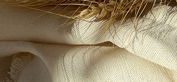 Pânză netopită in Aurelia Pânză netopită in Aurelia